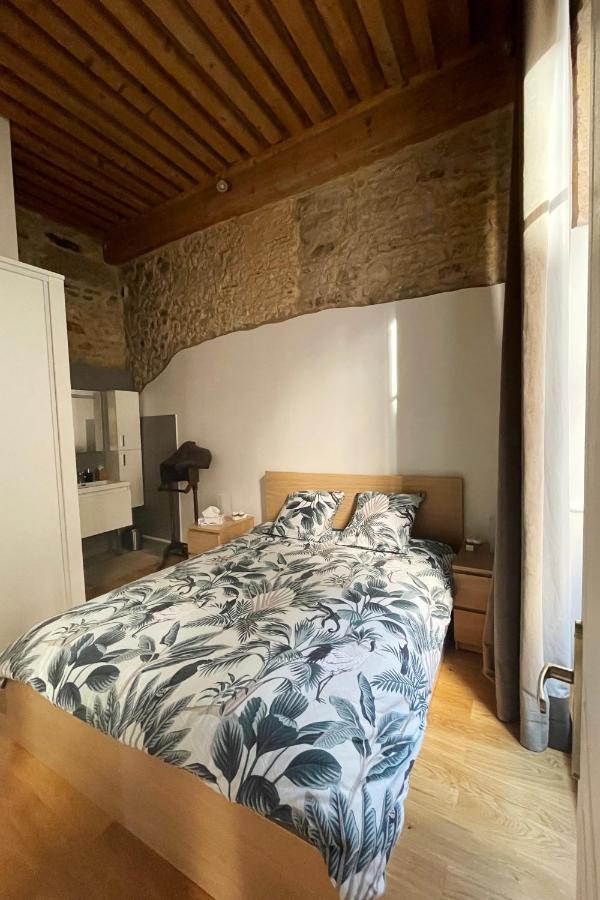 Coeur Vieux Lyon, 60 M2 Lumineux Tout Confort Kültér fotó